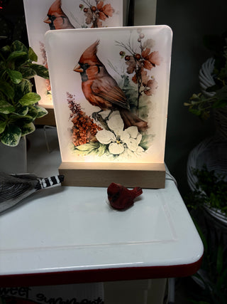 Sublimation Night Light / Assorted