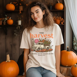 Cotton N Frost October Shirt