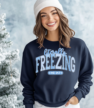 Literally Freezing Sweatshirt